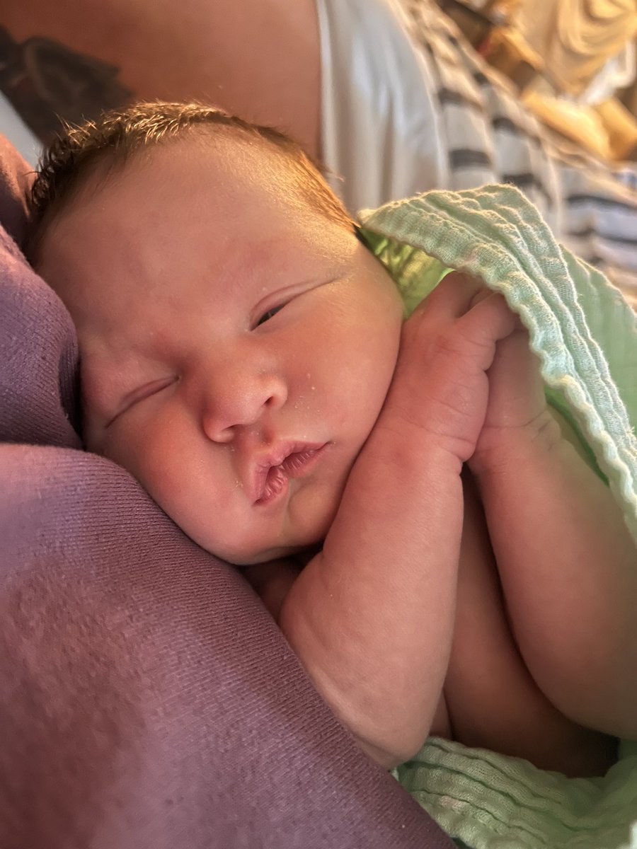 haleybslone's tweet photo. Safe to say I make some really pretty babies https://t.co/8k6NlhT4zW