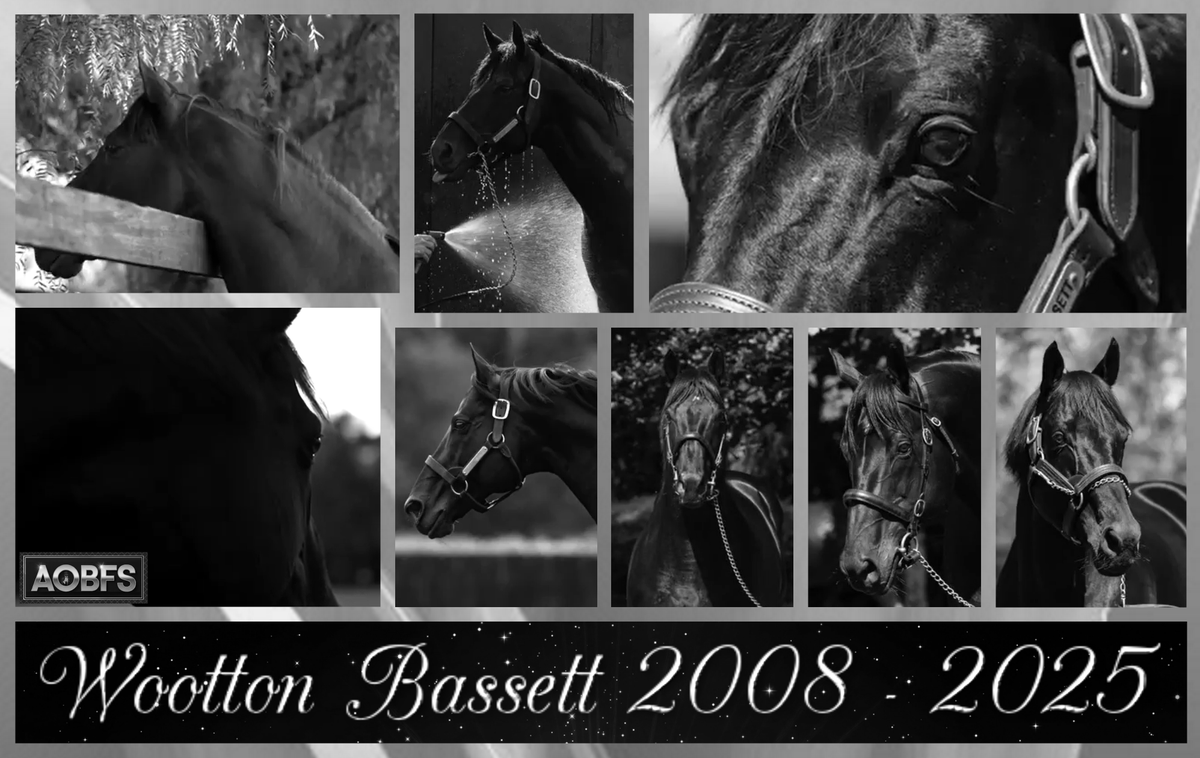 AIDANOBRIENFANSITE tweet media