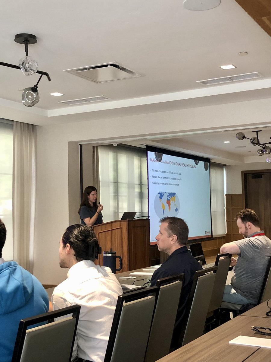 LabEvavold's tweet image. Our PhD student Margot Deckers kicks off the start of her third year with a great talk on the impact of low vs high-affinity CD8 #Tcells on blood brain barrier breakdown in cerebral #malaria. Great job, Margot!