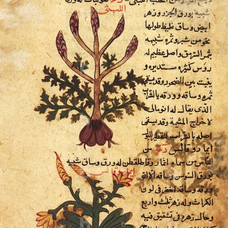 Islamic Scientific Heritage tweet media