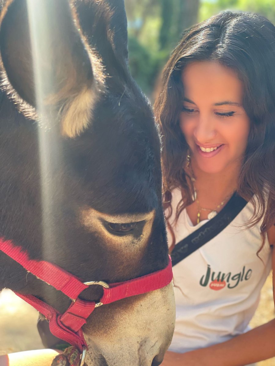 ACTIVIDADES EN EL BOSQUE DE LOS BURRITOS EN HINOJOS (HUELVA). SÁBADO 27🌳🌿
Este finde podréis  visitar los burritos y disfrutar de la naturaleza.
⏱️11:00  a 15:00
ENVIA WASSAP AL:
 674775170 
Donativo (7 €) cc:
ES2720854789310330330232
Bizum: 635024984