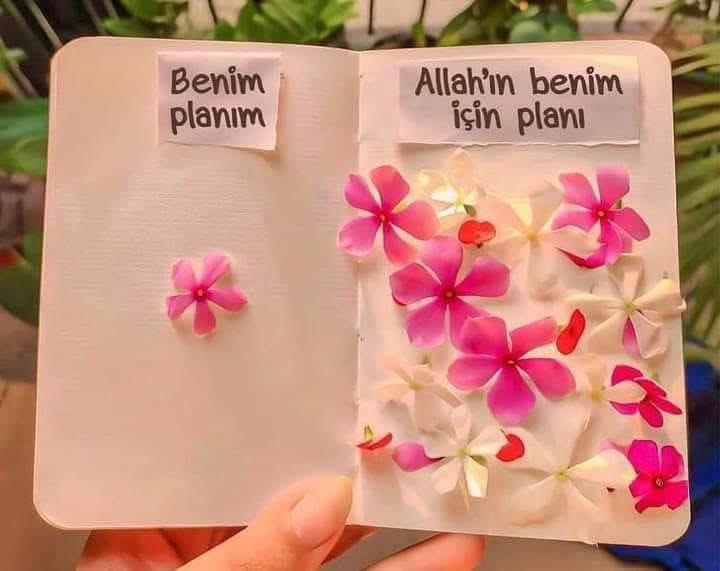 Sustum...
Oysa ki,
Dilimin ucunda öyle çok söylenecek söz vardı ki..
   Yuttum... Affettim … 
Huzurluyum :))

Size de tavsiye hayat kısa …
Huzurlu akşamlar 🍀☕️