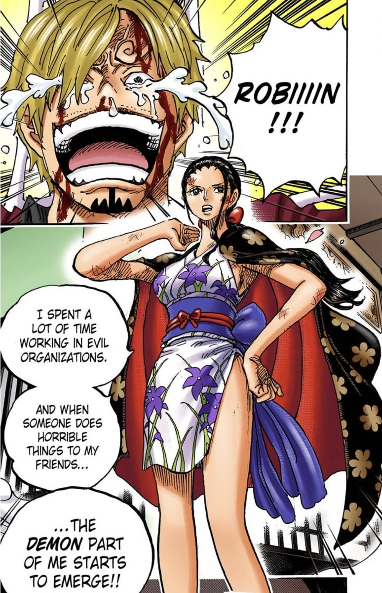 hisashimitsuis's tweet image. Being a robin fan and sanji hater is crazy she would burn you to keep him warm