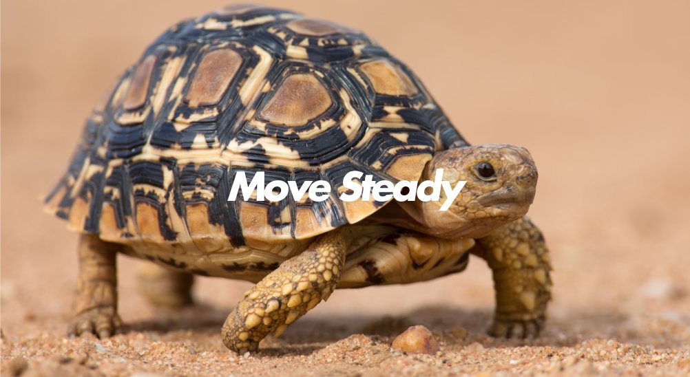 Move Steady