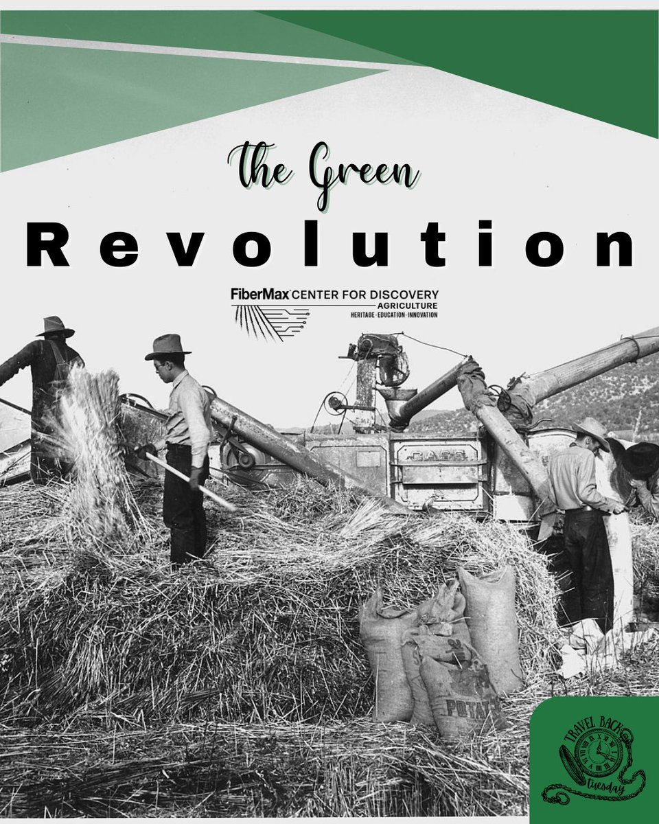 FiberMaxCenter's tweet image. By reshaping how we grow food, the green revolution changed farming forever! 🌾

Here's a dive into what changed farming in the mid 1900's. Happy #Travelbacktuesday! 

#FCFD #Ageduction #lubbock #Aghistory #agteachers