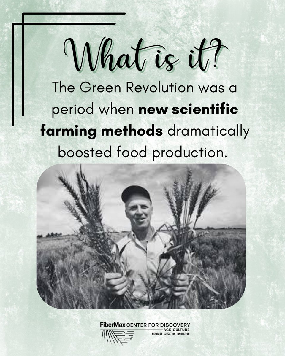 FiberMaxCenter's tweet image. By reshaping how we grow food, the green revolution changed farming forever! 🌾

Here's a dive into what changed farming in the mid 1900's. Happy #Travelbacktuesday! 

#FCFD #Ageduction #lubbock #Aghistory #agteachers