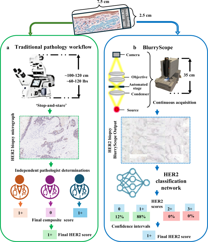 FanousPhotonics's tweet image. BlurryScope proved AI can make imaging fast, compact, and affordable. SCANIMUS takes it further: portable, research grade scanners bringing advanced pathology to every lab. Read the research: nature.com/articles/s4174…

#DigitalPathology #AIImaging