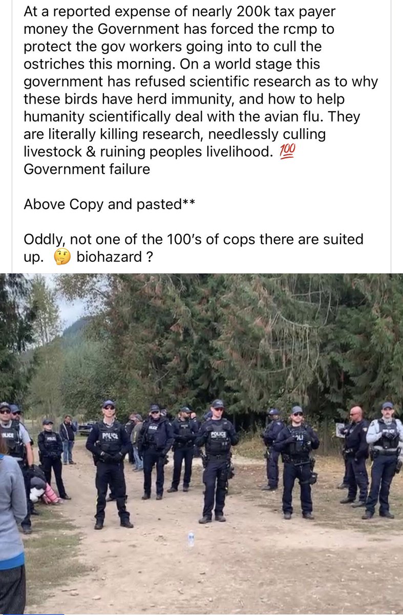 Well we know now how many cops it takes to kill an innocent herd of Ostrich.. 

what we don’t know is how many cops it takes to catch a criminal… 

because they won’t/can’t