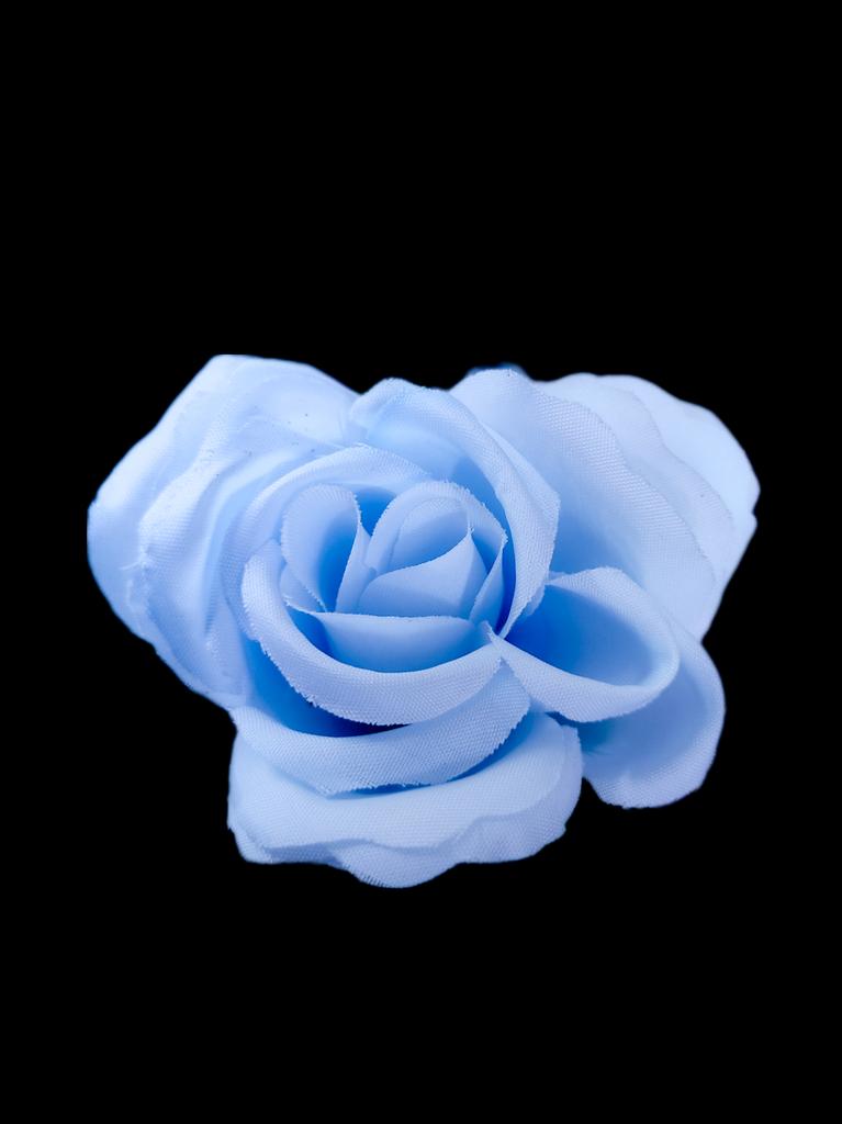 JainendraNahata's tweet image. Blue flower
#MyPhotohraphy
#ShotOnSnapdragon
#EditedInLightroom