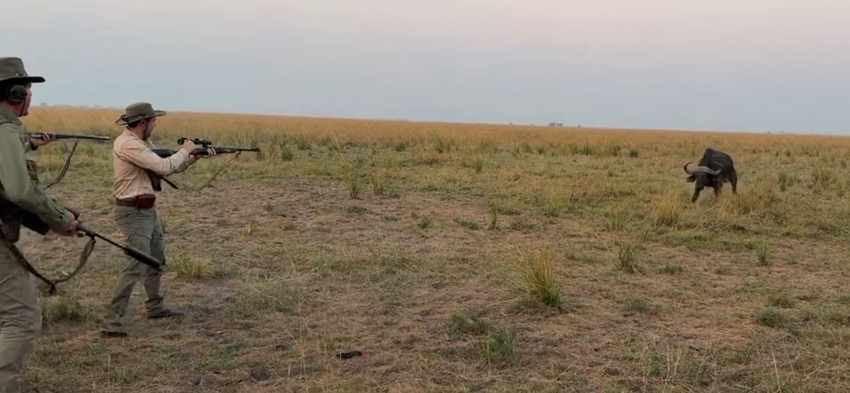 Buffalo charge in Namibia

youtu.be/U4xPDgqZ7YI?si…