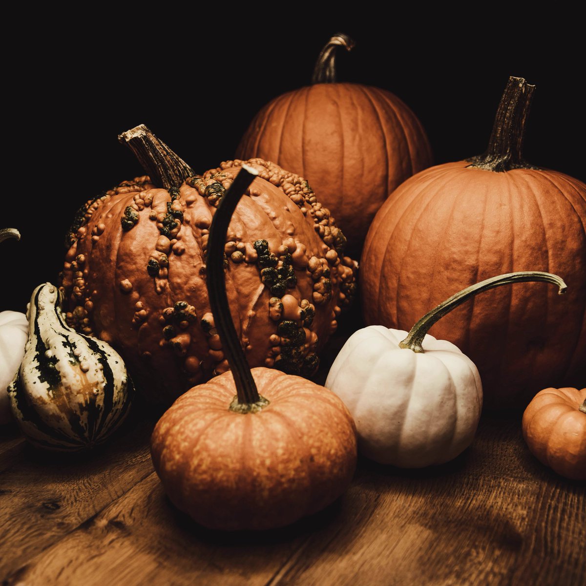 Freiwolf_Design's tweet photo. Herbstanfang 🍂🪾🍄

#herbst #autumn #fall #autumnvibes #falldecor #cozyvibes #kürbis #pumpkin https://t.co/2ot5iVerqr