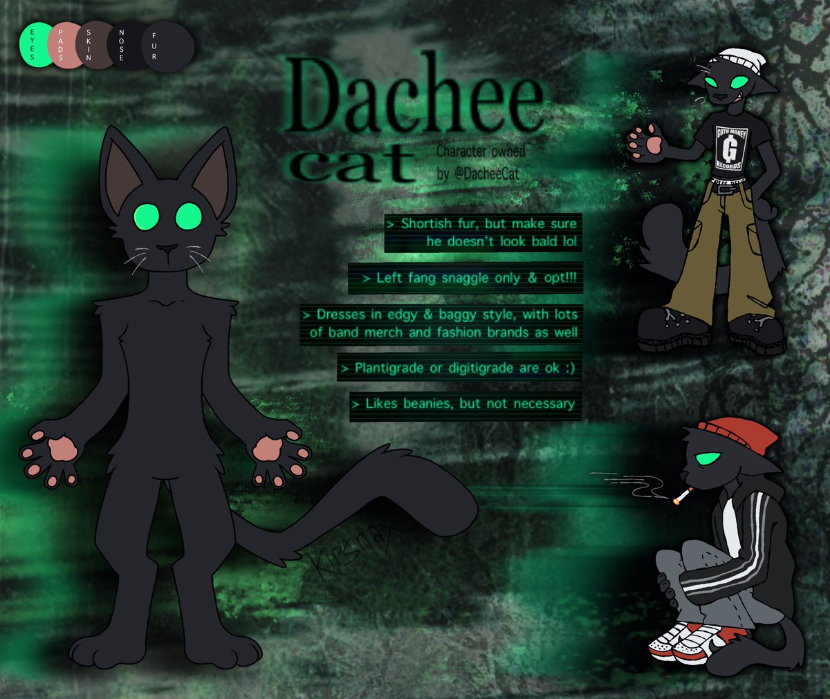 Reference sheet for <a href="/dacheecat/">Dachee!</a> ᓚᘏᗢ