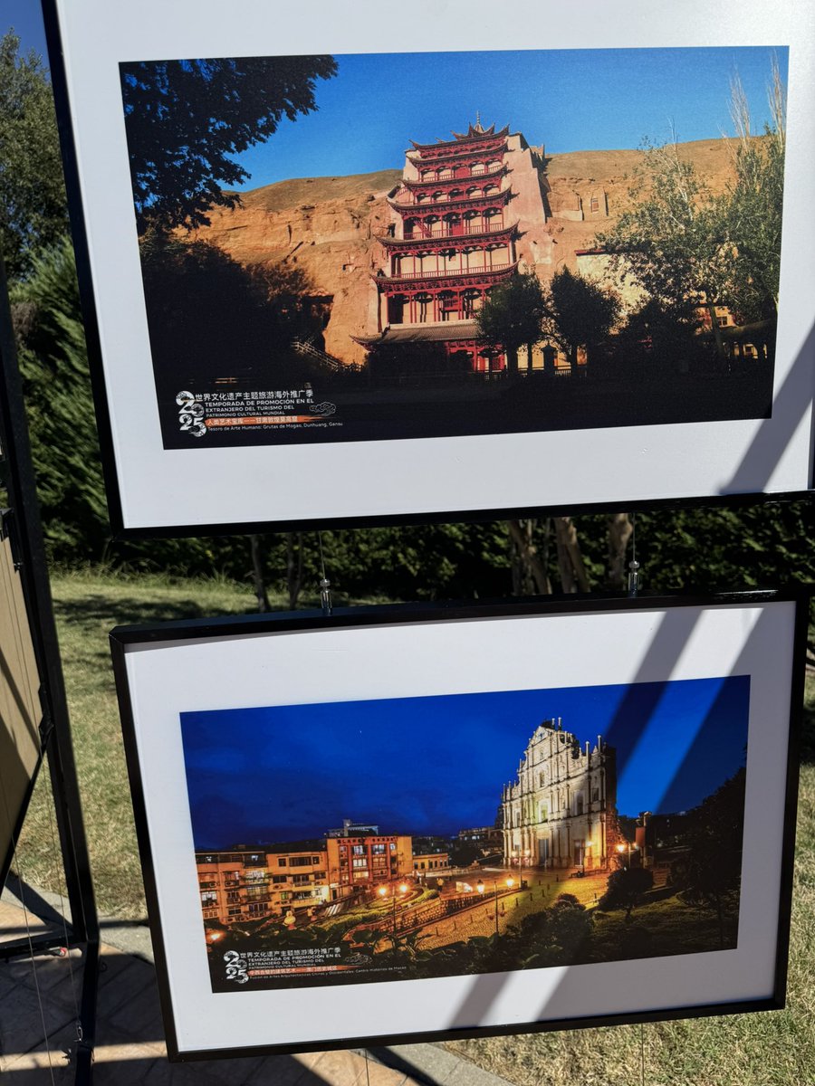 diplomática exclusive magazine tweet media