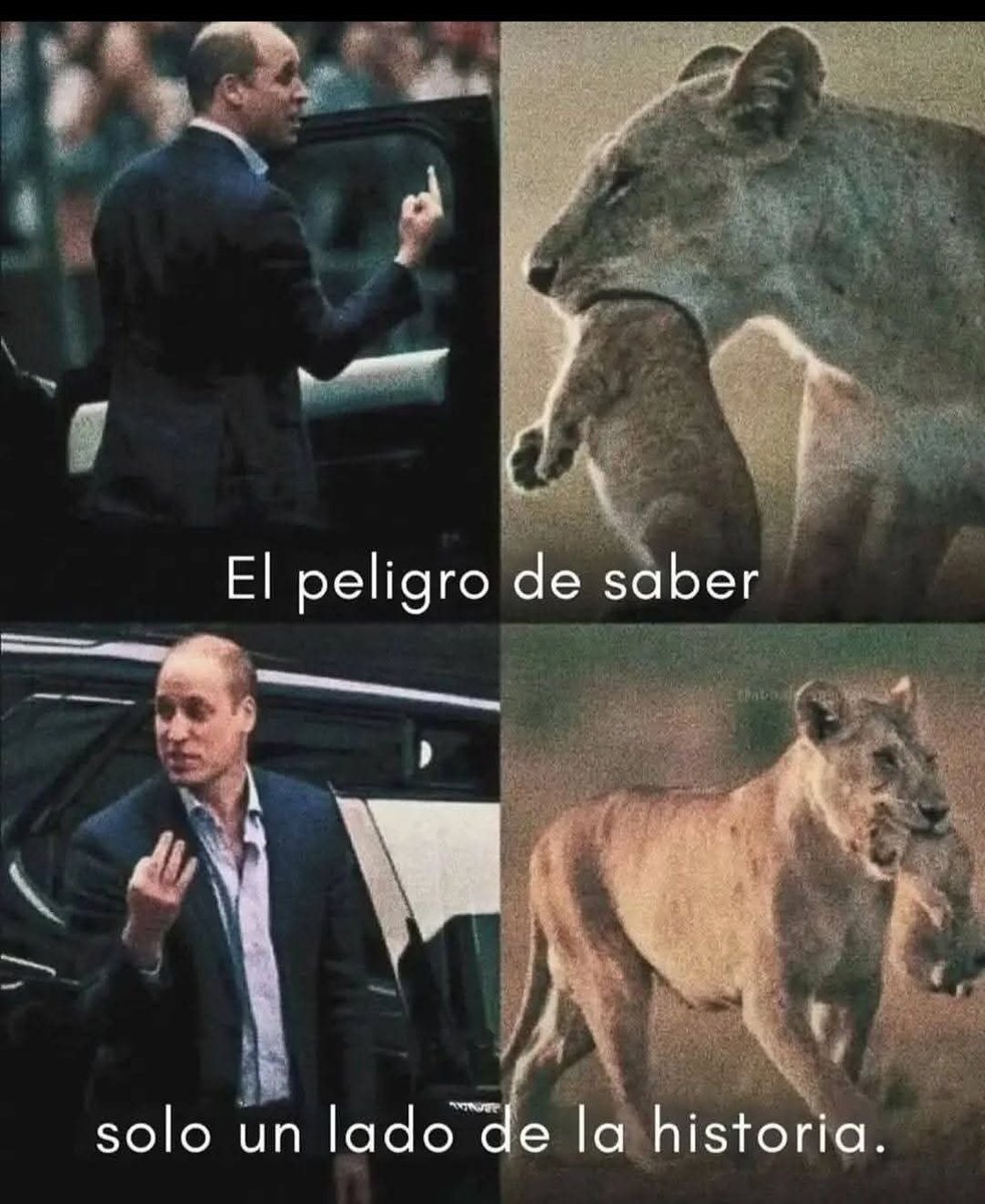 Más Ciencia (@msciencia2) on Twitter photo 