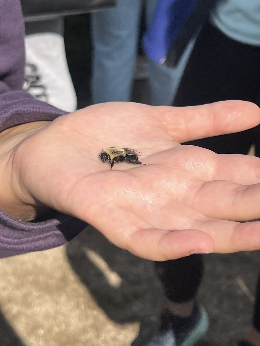 Acadia Nutrition tweet media