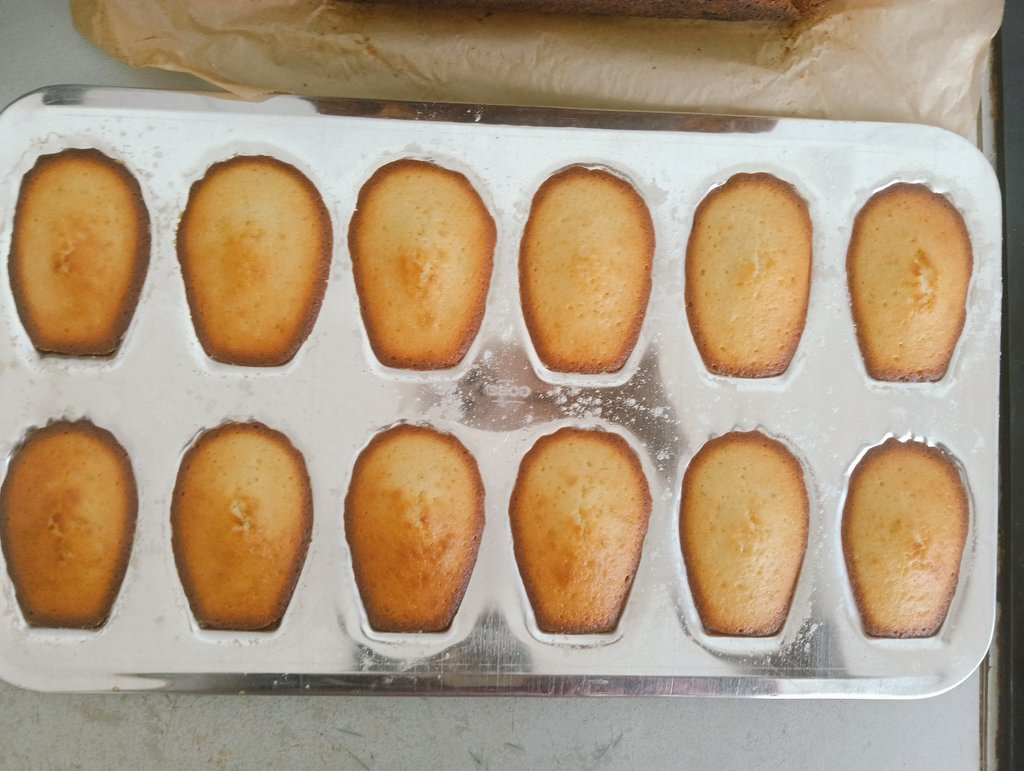 Litteraliste's tweet photo. today i was bored so I baked lemon Madeleines. It turned out so good, I'm so happy because it was my favorite childhood cake 🥹. https://t.co/Mzrm29eBsA