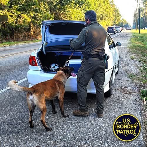 texkota's tweet image. USBP agents from the New Orleans Sector K-9 Unit conducted a traffic stop on Highway 11 near Slidell, resulting in the apprehension of an illegal alien who is now pending criminal prosecution.

#usborderpatrol #borderpatrol #bordersecurity #NationalSecurity #usbp #cbp #DHS #MAGA