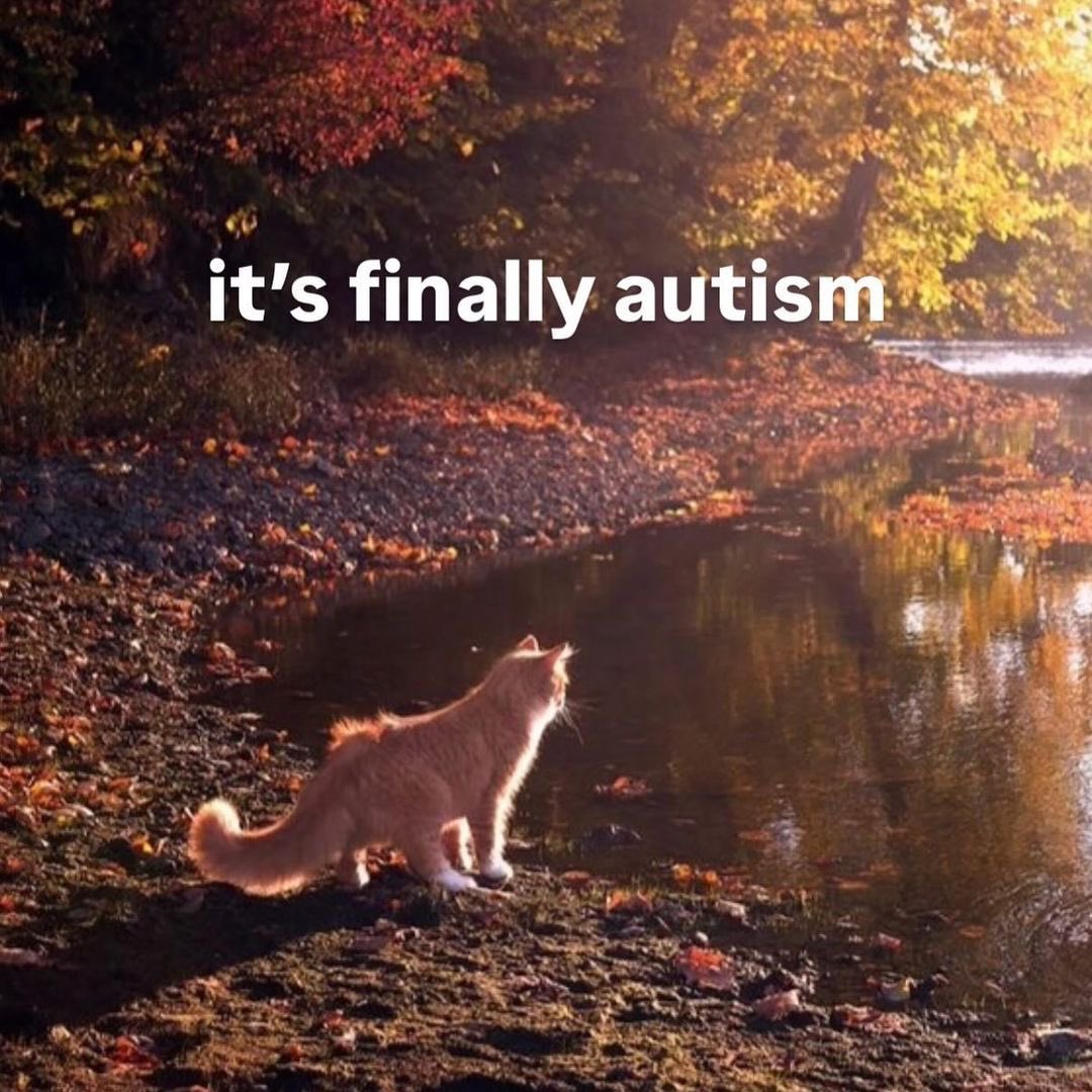 ♡ (@astralbaes) on Twitter photo 