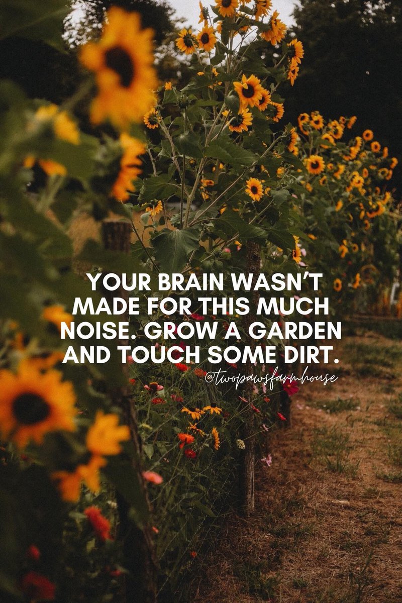 MGraceHomestead's tweet photo. Touch dirt. https://t.co/dahsjJW05b
