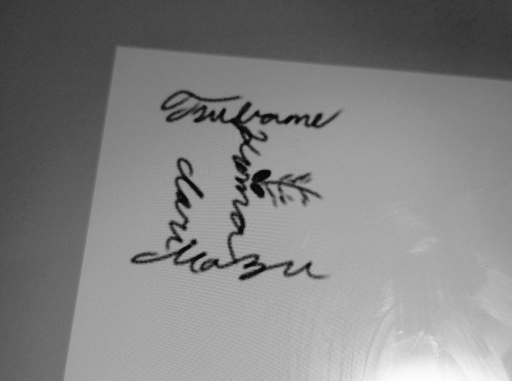 よし、ようやくひょうしラフの作業に入れそうかも！(日付変わってるってどゆこと？？？)(無理かも)
お庭の企画楽しそうやから行きたかったけど、めちゃ我慢したので、また開催してください…😭
これは、今日の産物の一部です、正邪の「正」、こういうの書くの、難しいけど楽しくってですねぇ…