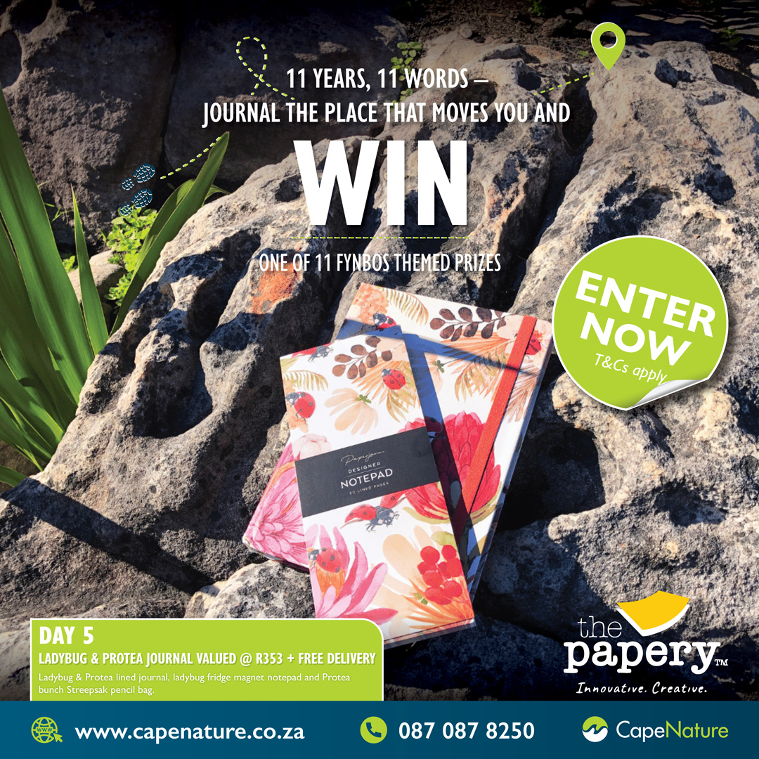 CapeNature1's tweet image. Your fynbos themed stationery prize is just 11 words away!
🌿 Follow The Papery and CapeNature
🖊 Share this post and comment 11-word (or shorter!) what nature means to you
🎁 Win a new prize every day
🌟 Day 11 = Lucky draw 

#CapeNature #AccessWeek #AccessWeekCompetition
