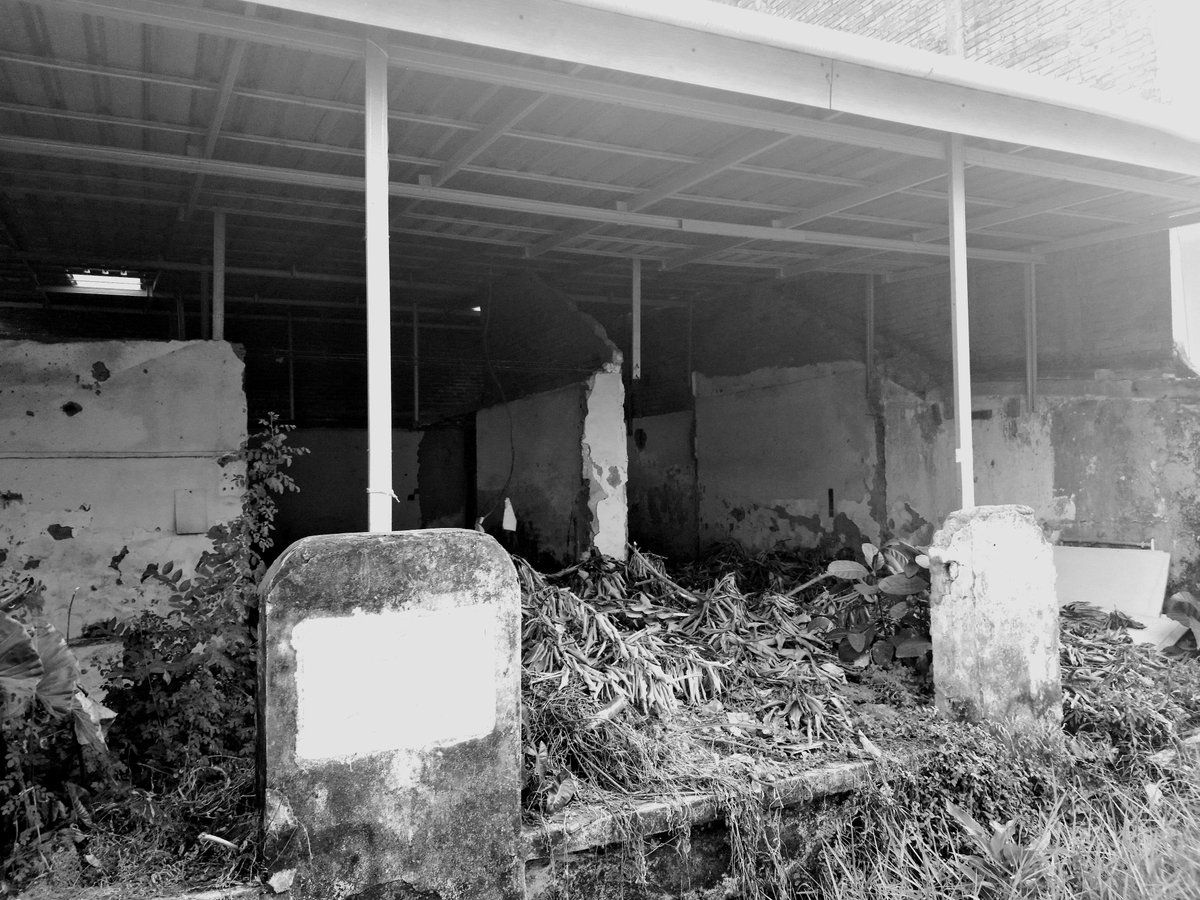 Makassar Stigmatized Property

*inspired by <a href="/JSP_Report/">【公式】日本事故物件監視協会 -Japan Stigmatized Property-</a> 🏡👻