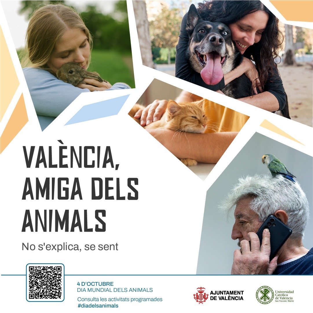 AjuntamentVLC's tweet image. 🐶Dissabte 4 d'octubre, #DiaMundialAnimals, iniciem als #Vivers un programa d'activitats pel #BenestarAnimal

🗓️La Fira solidària dels animals se celebrarà, al #JardídelTúria, dissabte 18/10
Els dimarts, especialistes de la @UCV_svm impartiran xarrades.

ℹ️lc.cx/bccnRi