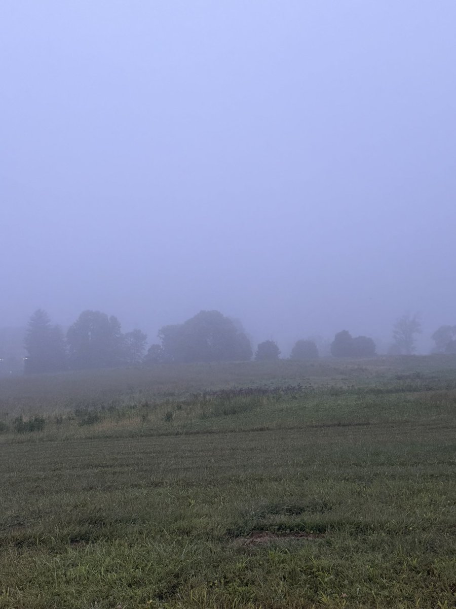danishjeetsingh's tweet image. Heavy fog on an early morning of the Great Lock In, Circa 2025

The mist rolls across empty fields, trees emerging like ghosts from the gray veil - a haunting reminder of those strange, quiet days when the world stood still.