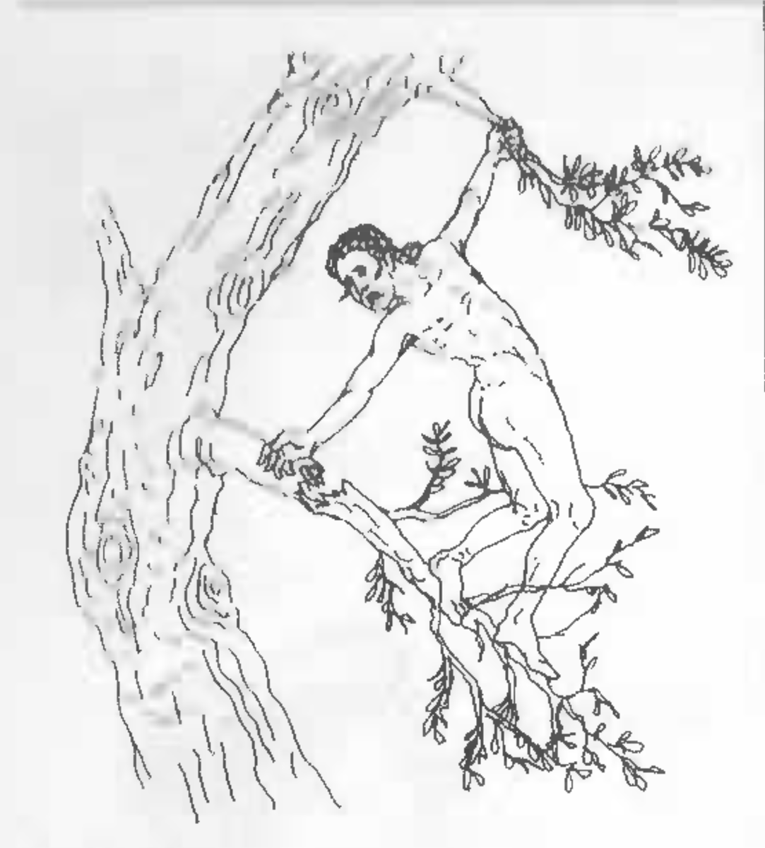 Marcus de arbore cadit / ὁ Φίλιππος πίπτει πρὸς τὴν γῆν. Eadem fabula, libri atque linguae differentes #LLPSI #ATHENAZE