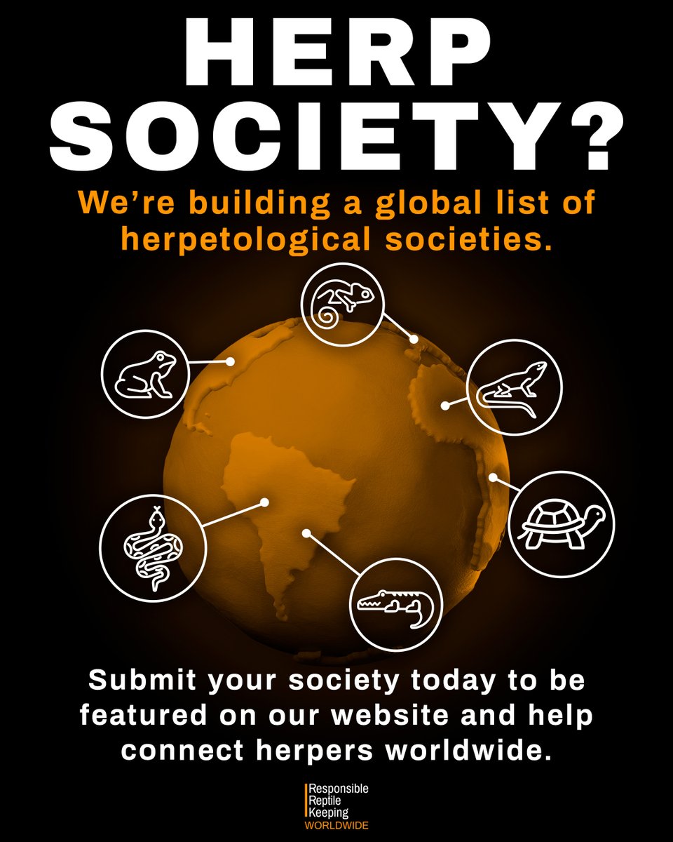 We support and promote those who also look after our community. So we're creating a comprehensive worldwide list of herpetological clubs and societies, to connect like-minded people, wherever they may be.

Do you want your society featured? responsiblereptilekeeping.org/contact

#TeamRRK