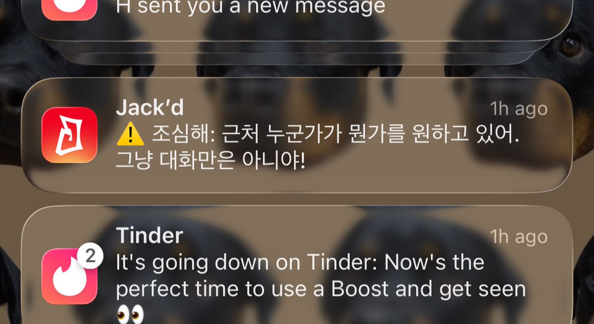 다빗/DABIT tweet media