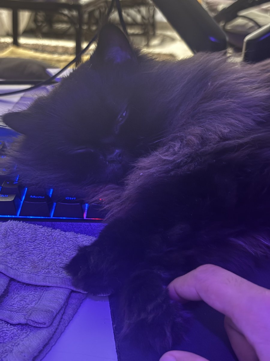 Blu 💙 tweet media