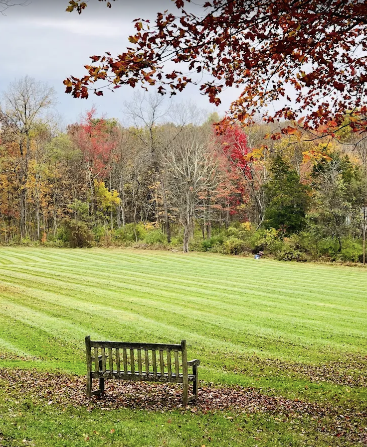 LianaNaima's tweet photo. Only 4 spots left! 

A weekend to shed the weight of old stories, reclaim your voice, and come home to joy.

Join me at the Omega Institute, Oct 10th–12th, in Upstate New York: https://t.co/0TaAhh0GXb https://t.co/2fLVzEeayn