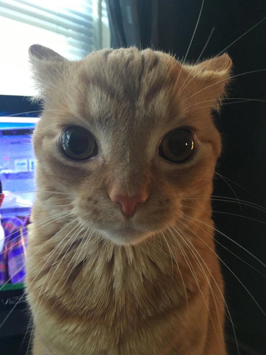 itsmartibus's tweet photo. @_ronare je l'attends comme ca https://t.co/Lz2Y8wLoQa