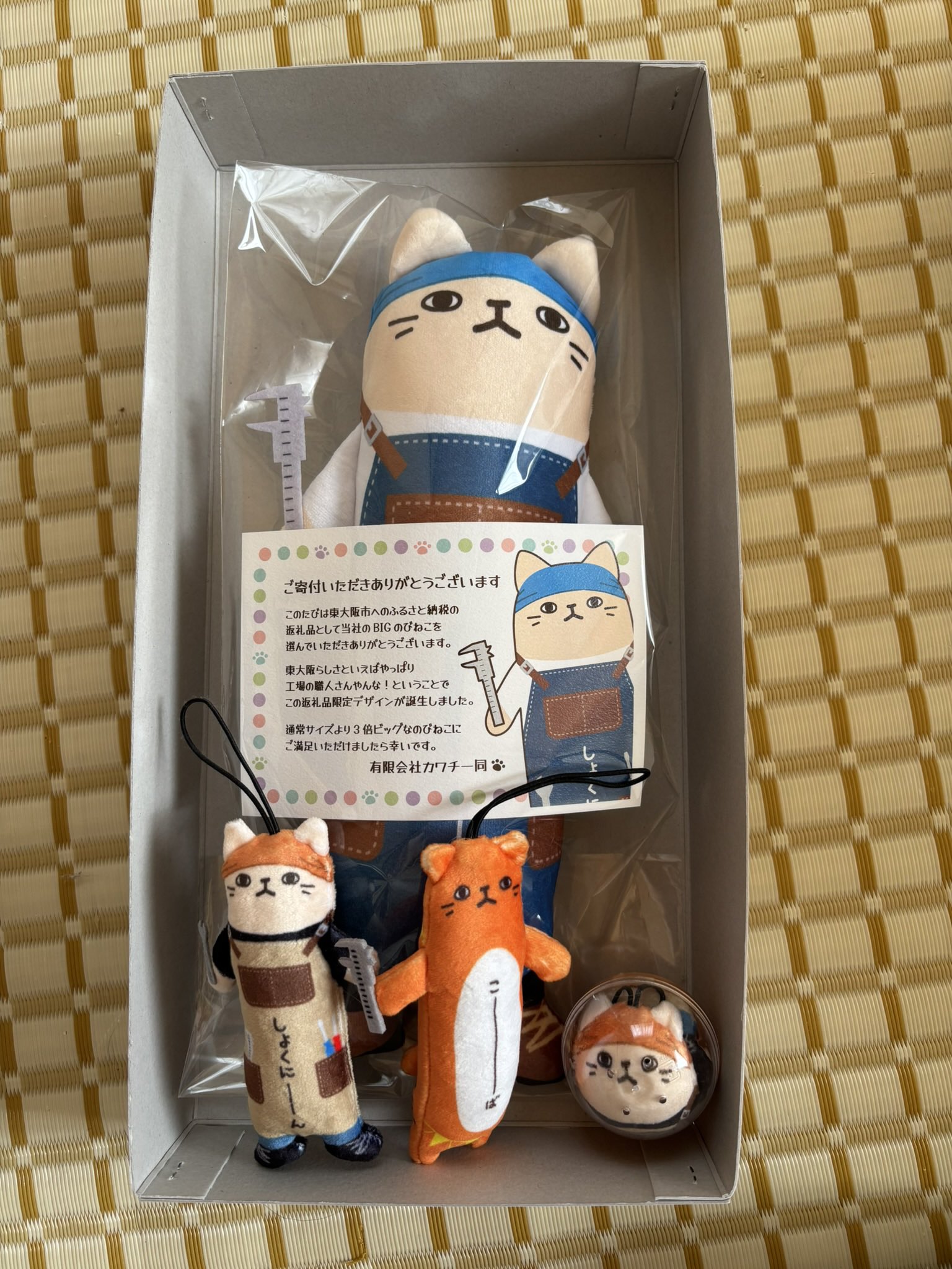 やまねこ♡　他の方はコメントお控えください=(^.^)= やまねこ♡ 他の方はいいね、コメントご遠慮くださいね。 一体