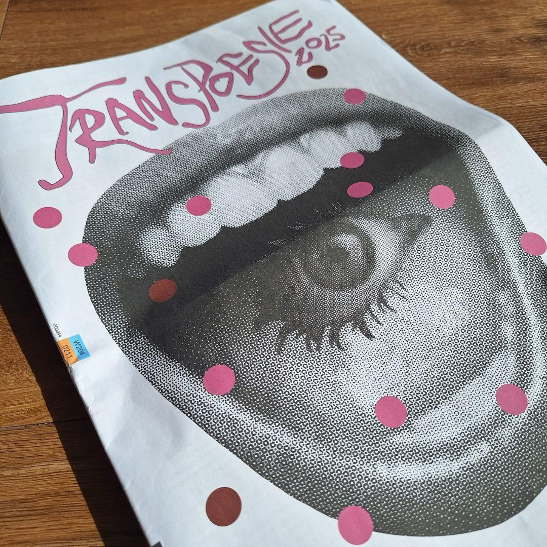 Last week, thanks to <a href="/ArtsCouncilNI/">Arts Council of Northern Ireland</a> and <a href="/BrusselsNI/">NI in Europe</a>, I was at #Transpoesie Festival in Belgium. And what a magical, poetical adventure it was!

➡️ You can read all about it in the first ever blog entry on my new website: shorturl.at/gRZKN