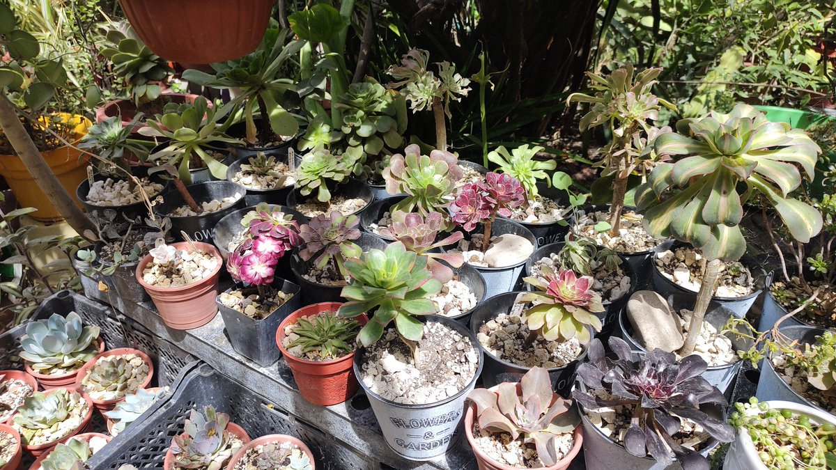 Ya hace frío ya empezó su temporada