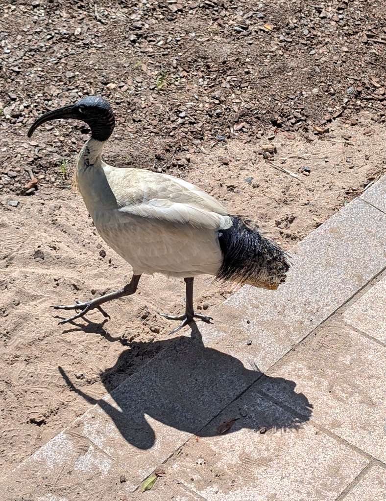 John Cooper tweet media