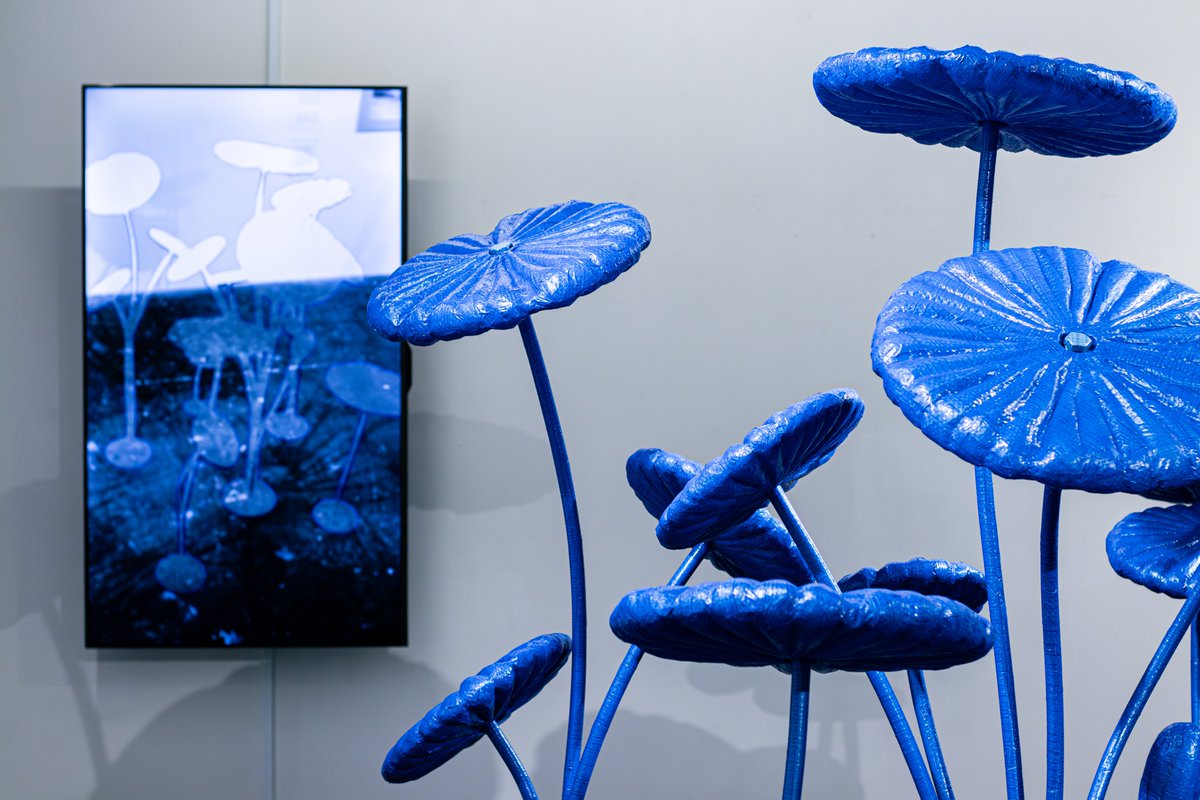 柴田まお

『Blue Plantings』2025

ブルーシート、アルミニウム、発泡ポレスチレン、ジェスモナイト、カメラ、モニタ

撮影：カワニシユウキ
#1999展 #9991展