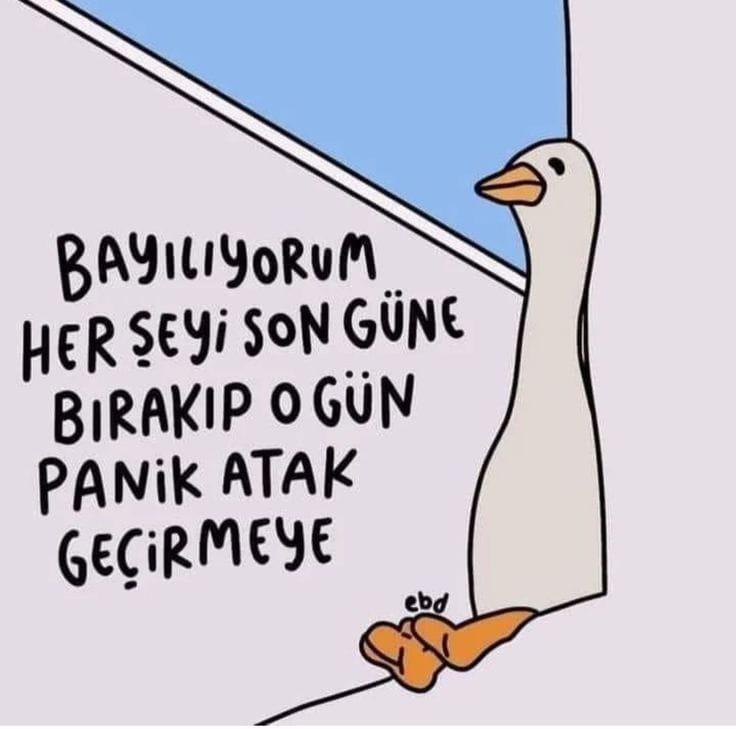 Çok tanıdık geldi