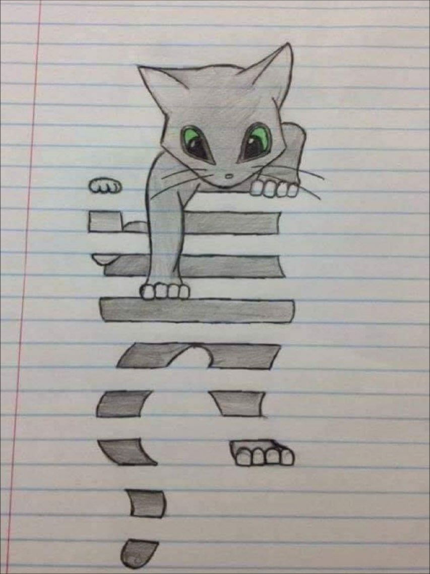 catsareblessing's tweet photo. https://t.co/dHy0imYrmV