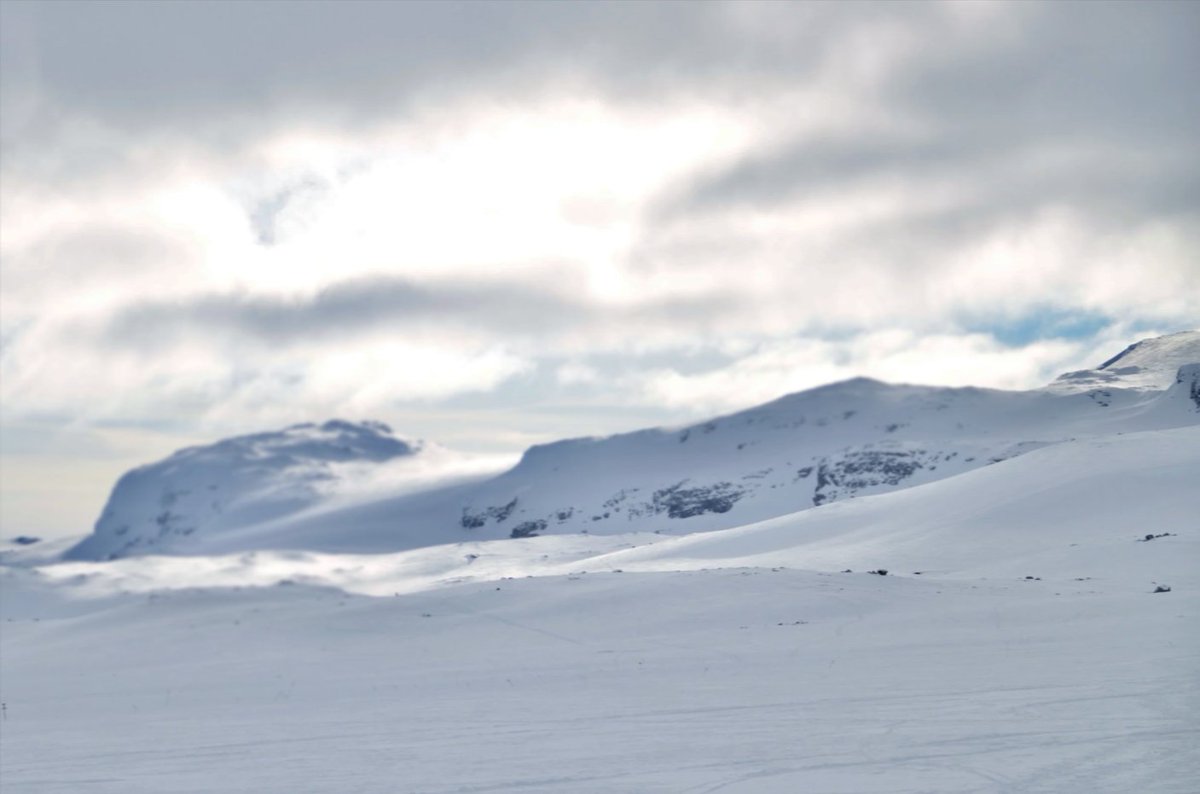 Ani_Kuzunishi's tweet image. Digital diorama Breakdown.
#mpc #StarWars #ATAT #あなたの劇中再現シーンを見せて下さい #デジラマ