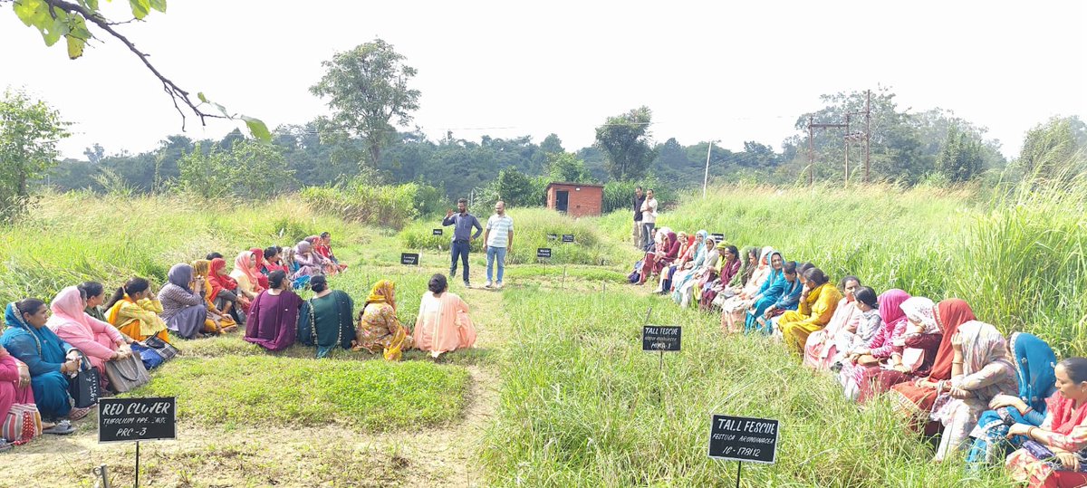 ICAR - IGFRI, Jhansi tweet media