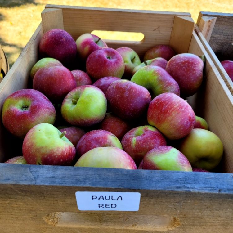 MarshfieldFarmersMkt tweet media
