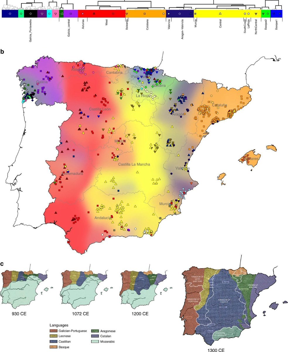Ruta por el Medievo (@rmedievo) on Twitter photo En el mapa genético de España, realizado por las Universidades de Oxford y de Santiago de Compostela, hay algo de #Reconquista. Imagen vía <a href="/_regnevalencia/">Valencianisme ||||</a>. En el mapa genético de España, realizado por las Universidades de Oxford y de Santiago de Compostela, hay algo de #Reconquista. Imagen vía <a href="/_regnevalencia/">Valencianisme ||||</a>.