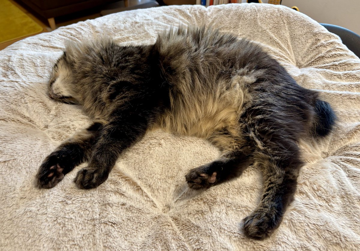 RIKUMUページ◆油絵SMサイズ用の流木での額縁フレーム RIKUMUページ◇油絵3号サイズ用の流木の額縁フレーム RIKUMU様専用