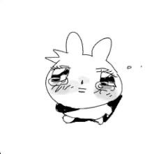 Nics Huang 静丽 tweet media