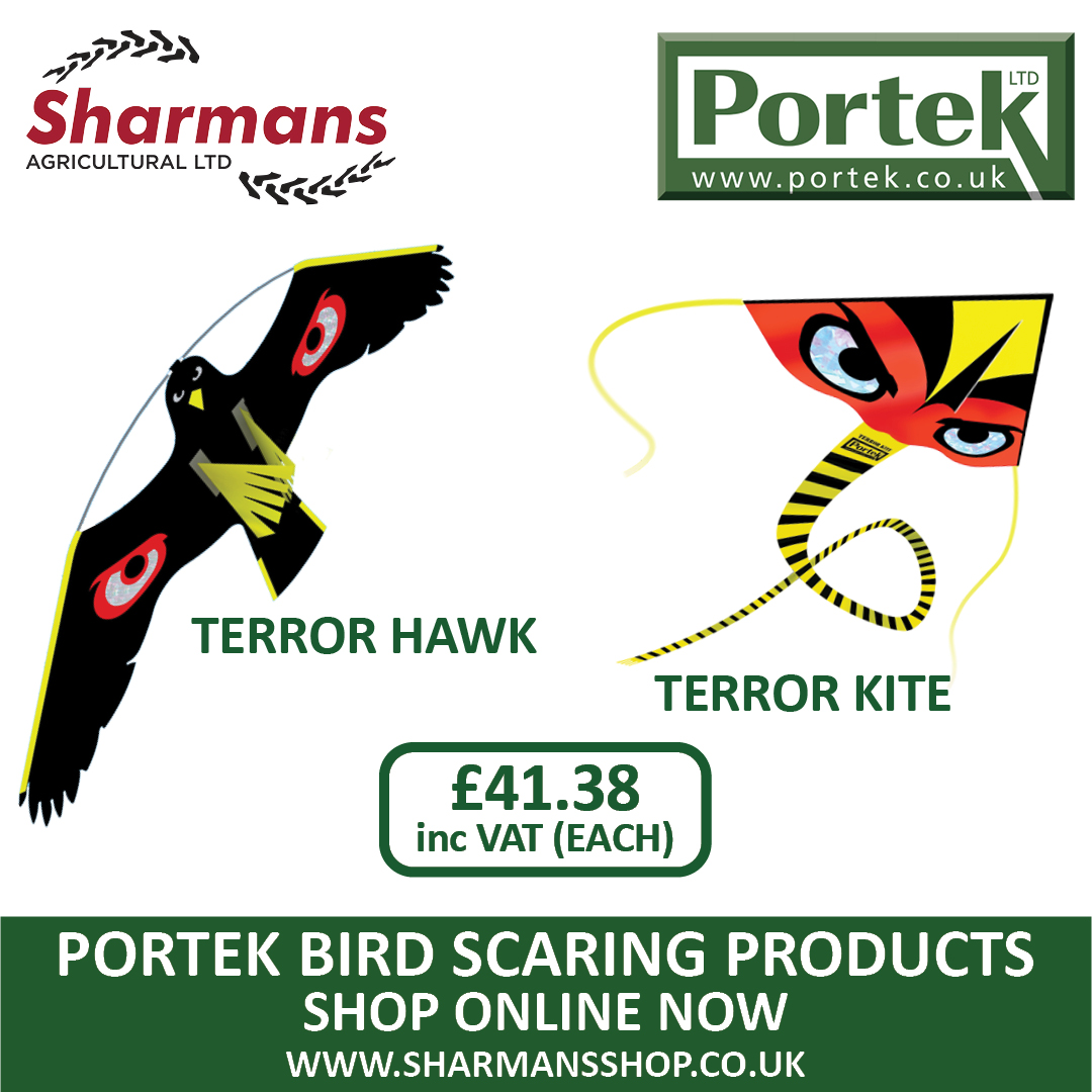 Sharmansagri's tweet image. Say goodbye to unwanted birds with our Portek bird scaring kites 🪁 These high-flying kites mimic the appearance of predators, keeping your crops safe from damage!

Check out our range of bird-scaring kites - sharmansshop.co.uk/farming/bird-s…

#BirdScaring #PestPrevention #BirdControl