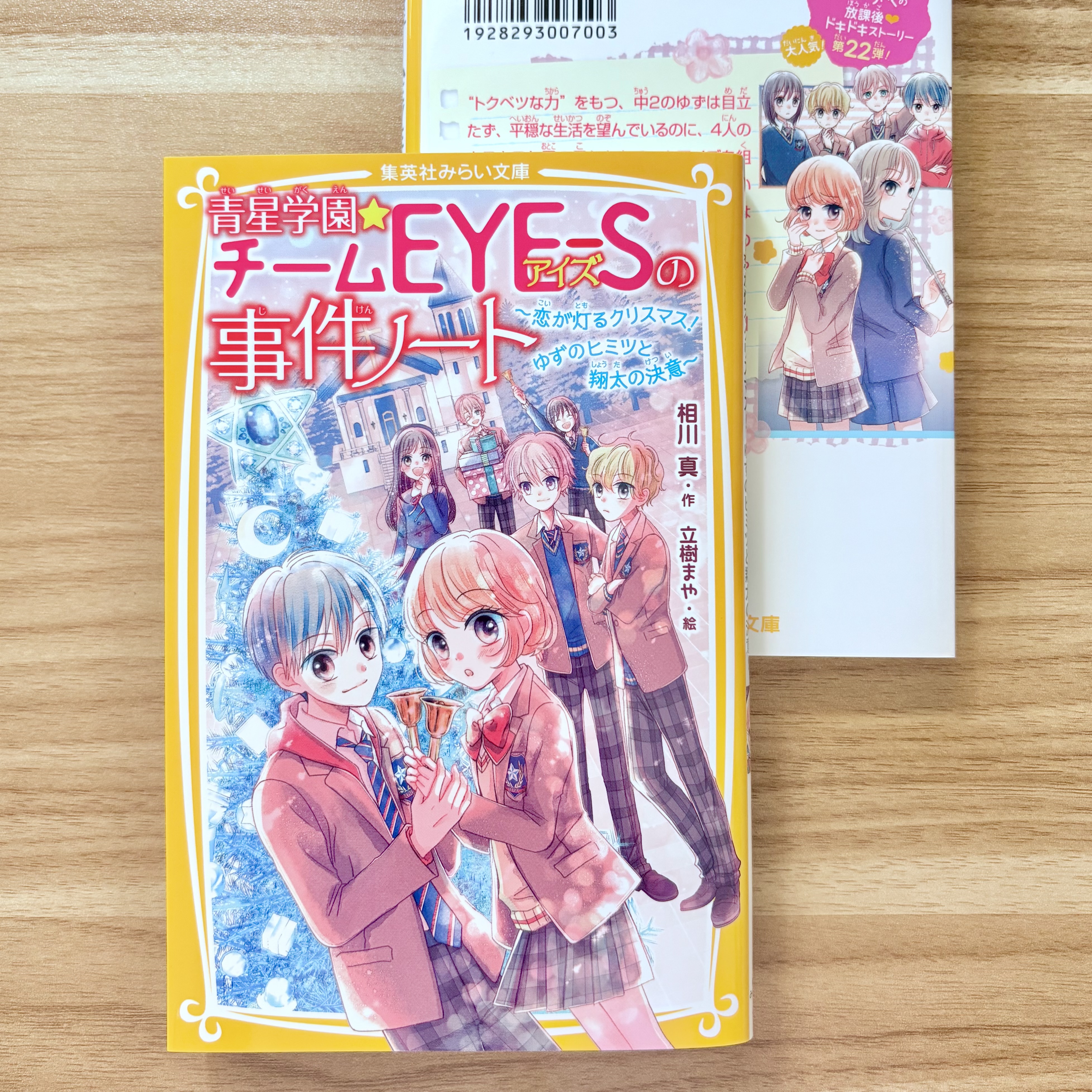 ことりページ 鳥かご 鳥籠 鳥 ケージ バードゲージ 鳥小屋 株式会社S＆L大型