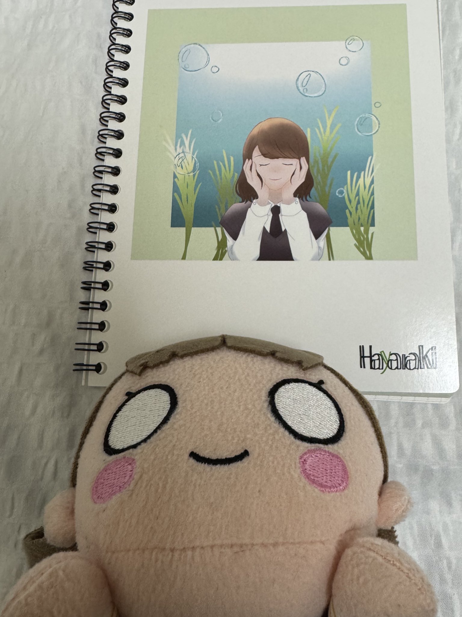 葉山風花 はやま家のぬい達の証 葉山風花 はやラキ 会員証 はやま家のぬい達の証 蓮